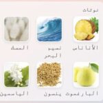 ⁦ALL OVER SPRAY 100.ML⁩ - الصورة ⁦6⁩