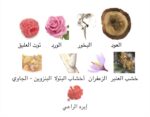 ⁦عطر روابي للجنسين RAWABI⁩ - الصورة ⁦2⁩