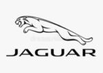 ⁦Jaguar⁩ - الصورة ⁦4⁩